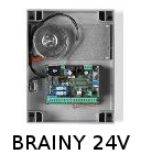 Brainy 24